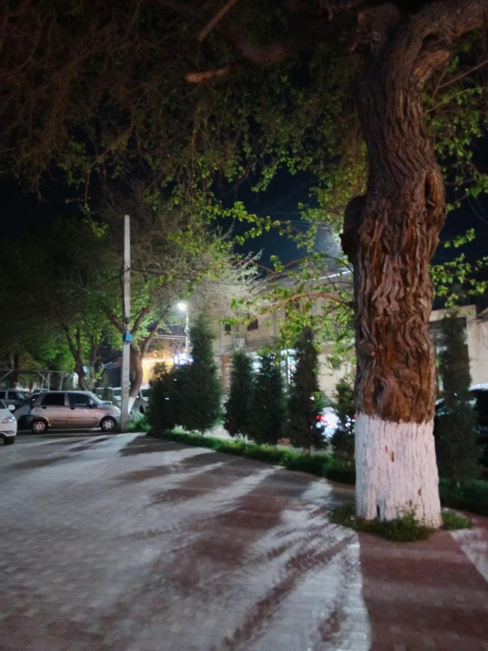 Gulsara Hostel Samarkand Exterior foto
